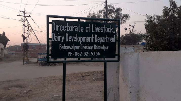 Directorate of livestock