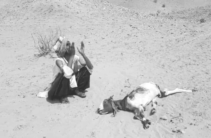 چولستان