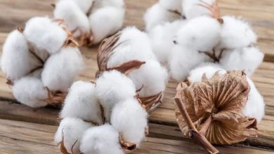 Cotton Growers Association