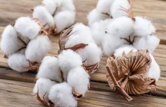 Cotton Growers Association