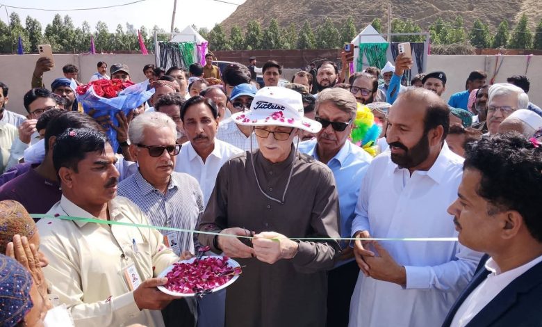 ٹی سی ایف سکول