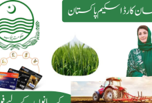 Farmer subsidy