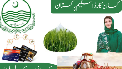 Farmer subsidy