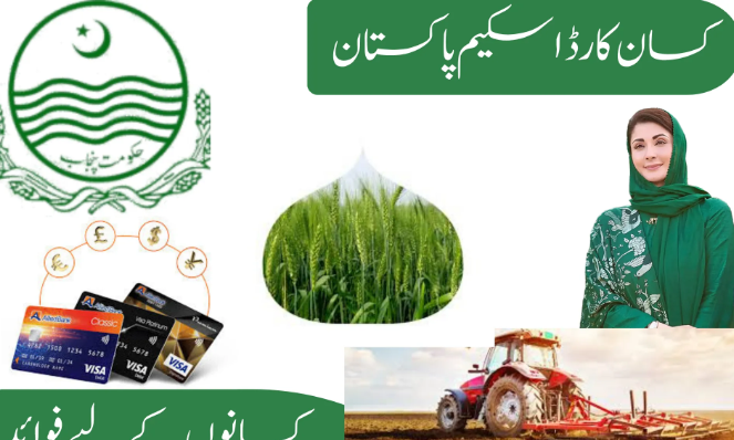 Farmer subsidy